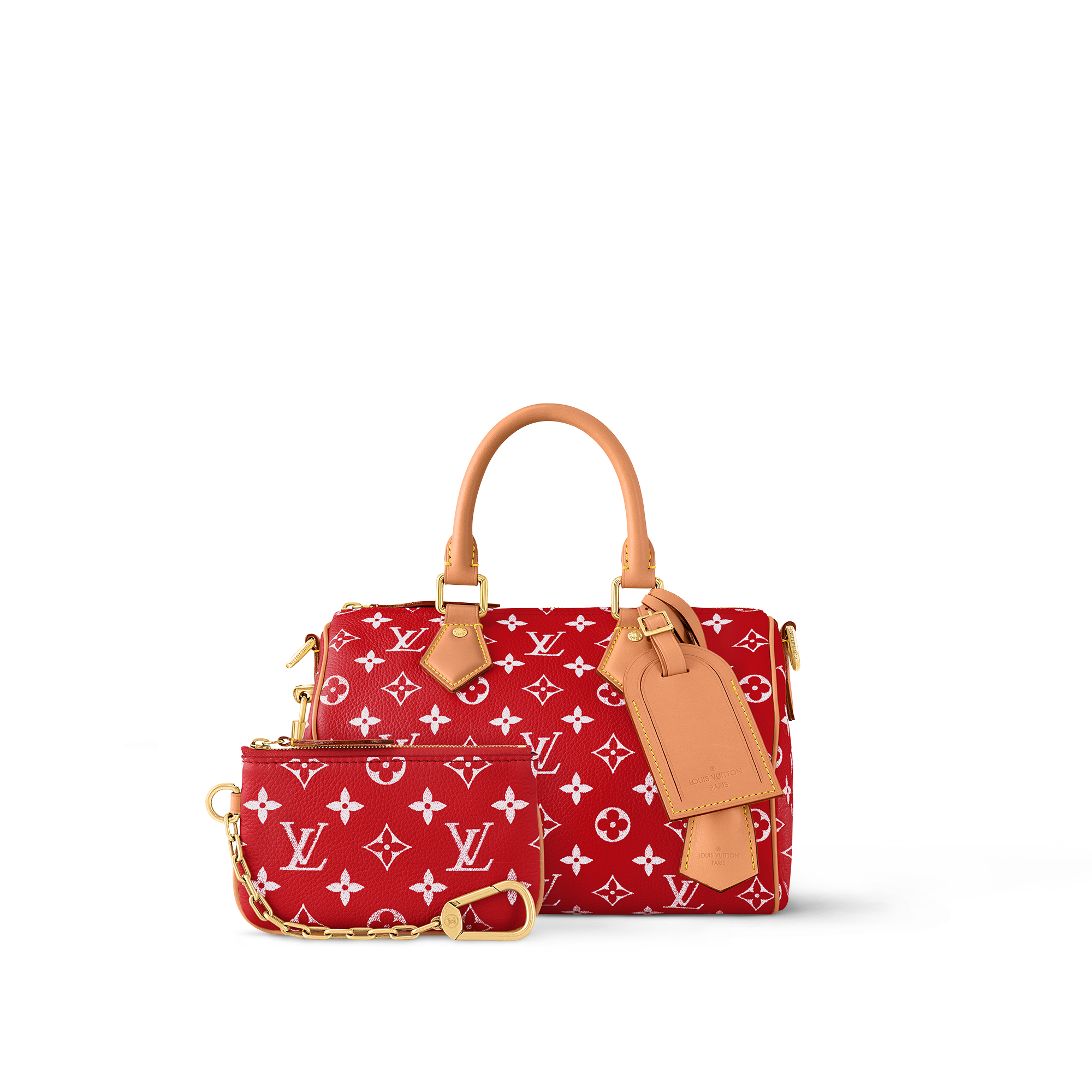 Speedy P9 Bandoulière 25 H40 in Les Extraordinaires's Leather Goods and Travel Speedy P9 collections by Louis Vuitton (Product zoom)